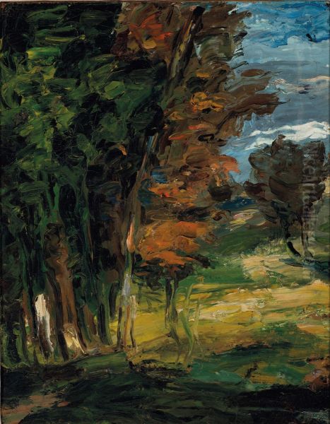 Paysage - view 1