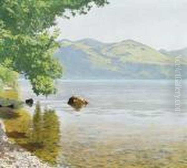Sommerliche Uferpartie Am Thunersee. - view 1