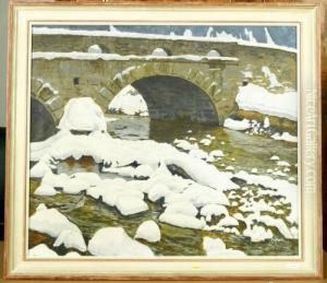 Fluss Im Winter.