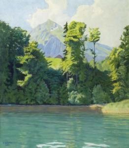 Seeufer Bei Spiez Mit Wiese Im Hintergrund