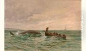 Chasse A La Baleine Chasse A La Baleine