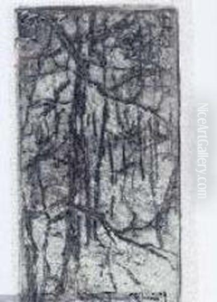 Nel Bosco  - view 1