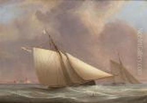 Racing Cutters Of The Royal Yacht Squadron Off Calshot Castle, Southampton Water