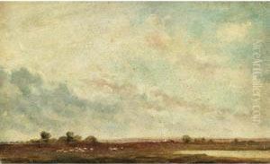 Extensive Landscape With Distant View Of Windmills Extensive Landscape With Distant View Of Windmills