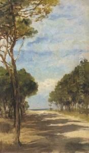 Pineta