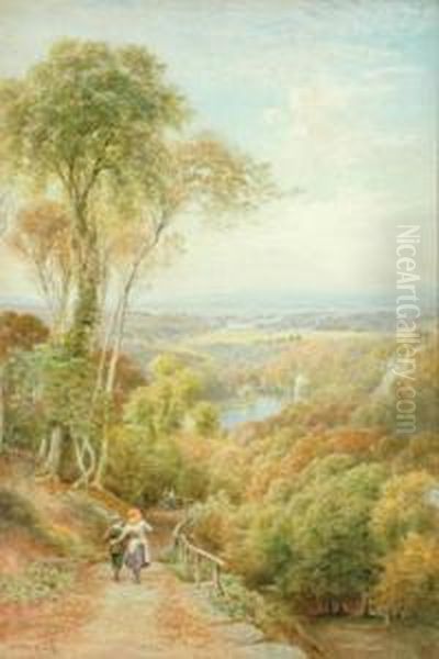 The River Ure From Mowbray Point, Hackfall - view 1