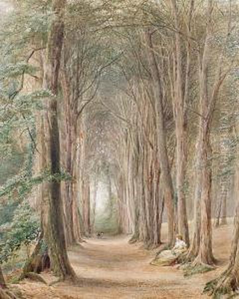 A Lady Reading In The Woods - view 1