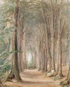 A Lady Reading In The Woods by Ebenezer Wake Cook