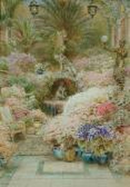 Potted Glories Of Spring - view 1