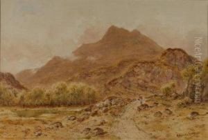 Mountainous Landscape With A Figure On Arocky Path By A Pond by Herbert Moxon Cook