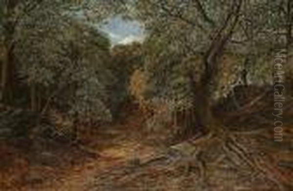 Rabbits In A Wooded Glade - view 1