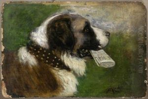 St. Bernard