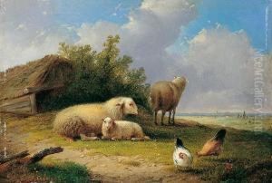 Landschaft Mit Schafen Und Huhnern by Auguste Coomans