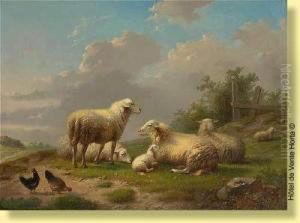 Moutons A La Barriere