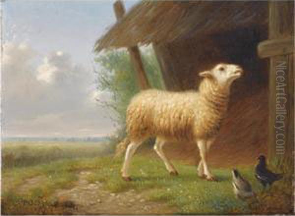 A Sheep And Chickens Near A Stable - view 1