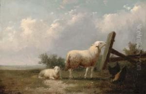 Sheep And Chickens In A Field