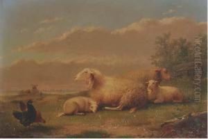 Sheep Resting In A Meadow by Auguste Coomans