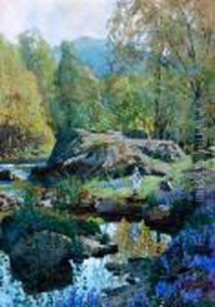 Lakeland Stream In Spring - view 1