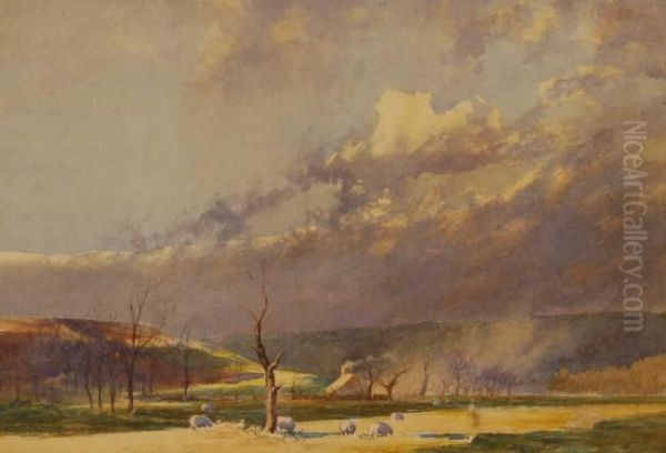 Sheep On Sowells Farm - view 1