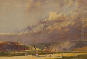 Sheep On Sowells Farm
