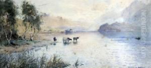 Cattle Watering