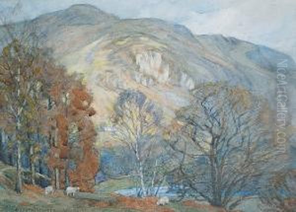 A Cumbrian Fell - view 1