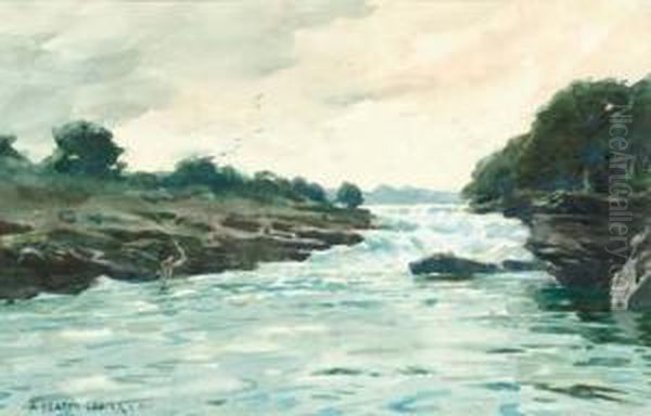 A River In Spate - view 1