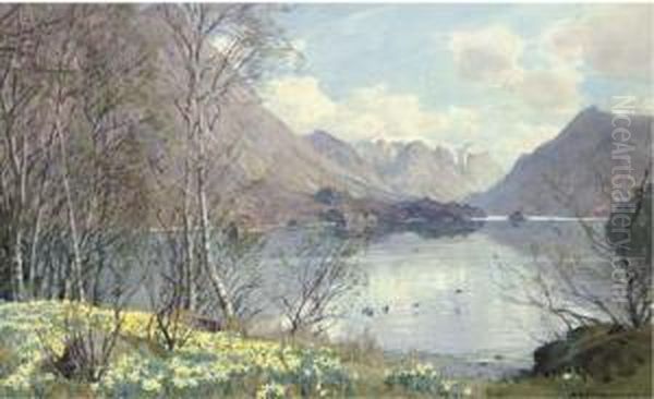 Wild Daffodils, Ullswater - view 1