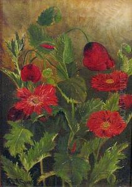 California Poppies - view 1
