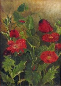 California Poppies by Astley David Middleton Cooper