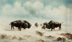 Buffalo And Indian On Snowy Range by Astley David Middleton Cooper