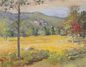 Summer Landscape