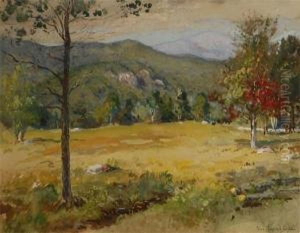 Sunlit Landscape - view 1