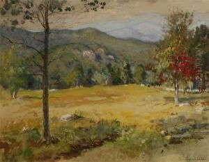 Sunlit Landscape