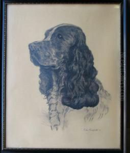 Pencil Sketch Shoulder Length Portrait Of A Dog