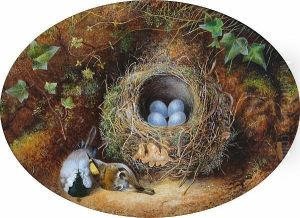 Still Life Of A Birds Nest