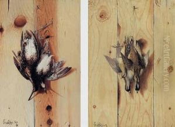 Quail (short Bill); And Snipe (long Bill): A Pair - view 1