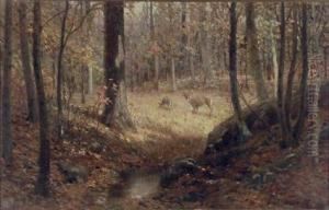 Doe And Fawn Doe And Fawn