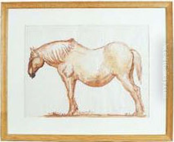Cheval De Trait - view 1
