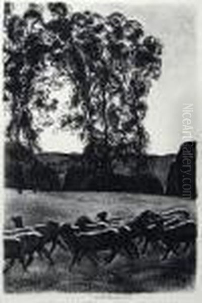 Sheep In The Night - view 1