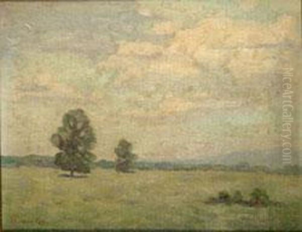 Trees In An Open Landscape - view 1