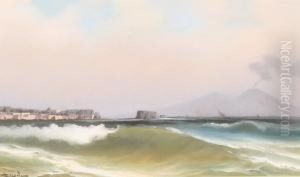 Vesuvius And Italian Coast by Antonio Coppola