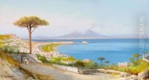View Over The Bay Of Naples And Vesuv by Antonio Coppola