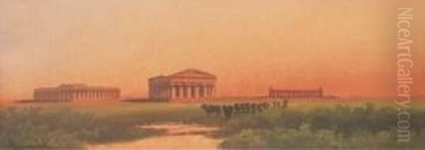 Un Coucher De Soleil A Paestum Avec Un Troupeau Au Premierplan - view 1