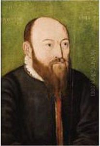 Portrait D'homme Barbu En Buste by Corneille De Lyon
