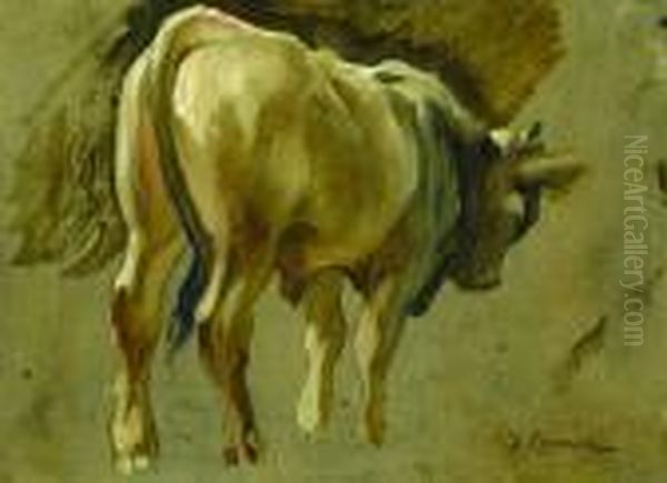 Prospettiva Di Mucca - view 1