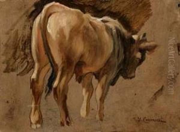 Mucca Al Pascolo - view 1