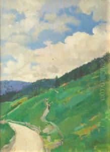 Paesaggio Di Montagna