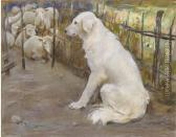Cane Bianco - view 1