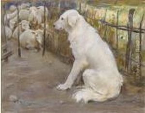 Cane Bianco by Umberto Coromaldi